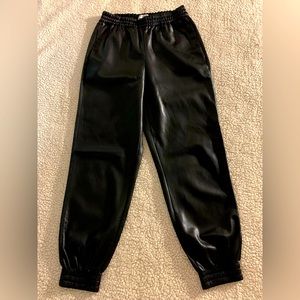 Aritzia Babaton Zedel XS Leather Jogger